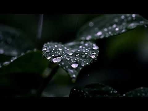 Tips for Better Sleep